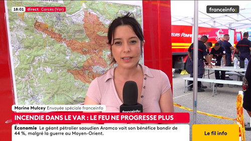 Le fil info (Franceinfo) 2026 08 04 12 54 59.ts snapshot 04.08.00.500