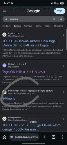 77253.jpg