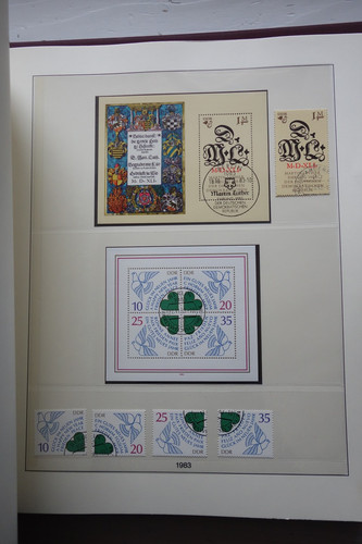 DSC00479 (Kopírovat).jpg
