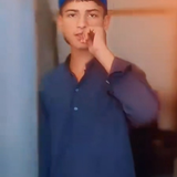 temp.png