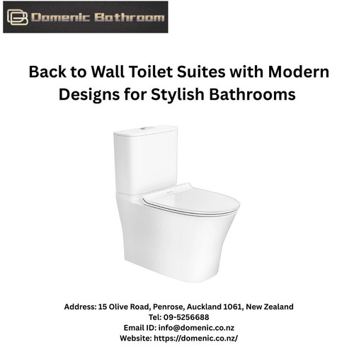  back to wall toilet.jpg