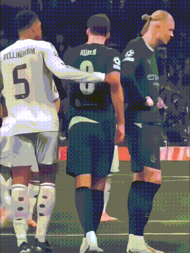 IMG 9376.gif