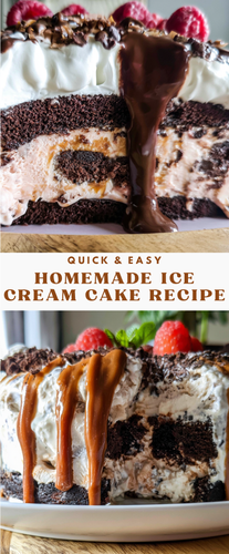 Homemade ice cream cake (2).png