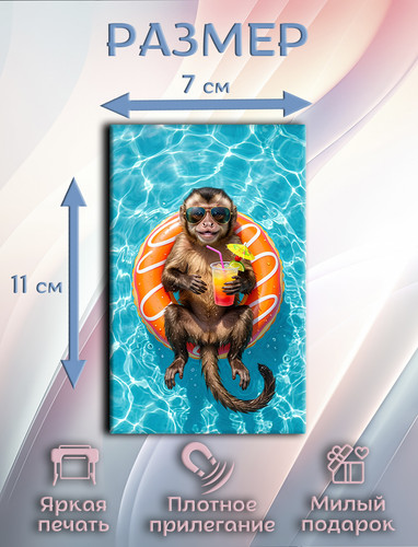 7 2.jpg