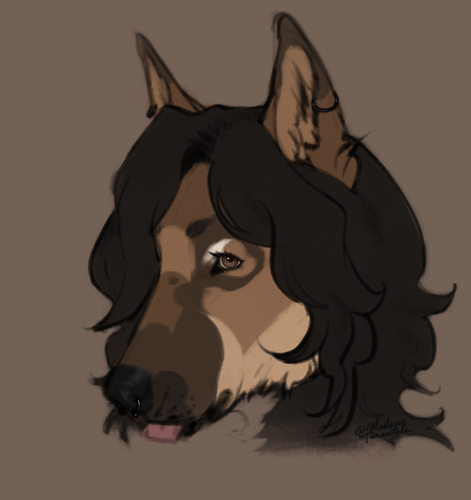 IMG 2880.png