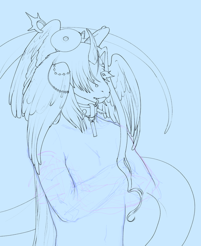 IMG 2882.png