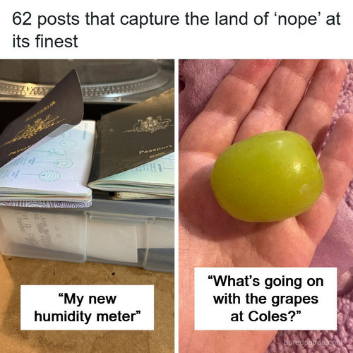 new interesting australia pics.jpg