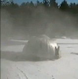 1000006407.gif