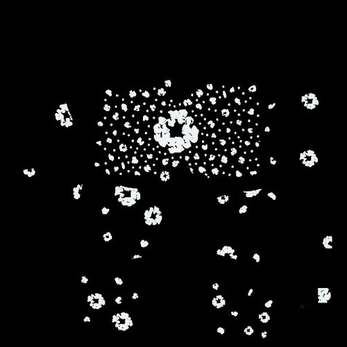 31074.jpg