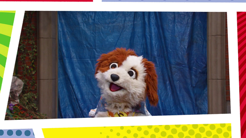 vlcsnap 2026 08 06 06h13m58s877.png