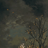 1000153188.gif
