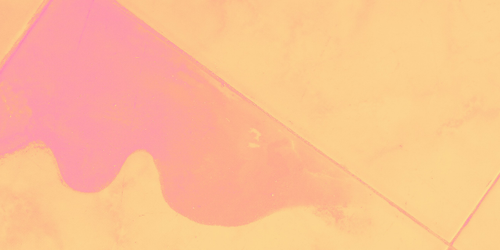 temp.png