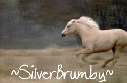 ~SilverBrumby~