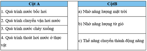 bai 16 3 trang 48 sbt khtn 9.png