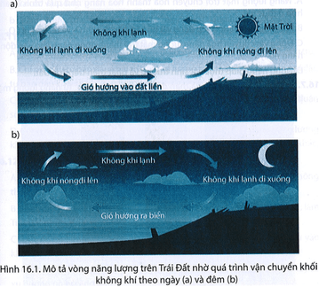 bai 16 5 trang 49 sbt khtn 9.png