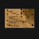 12e00919c51b.png