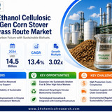 Ethanol Cellulosic Second Gen Corn Stover Switchgrass Route Market