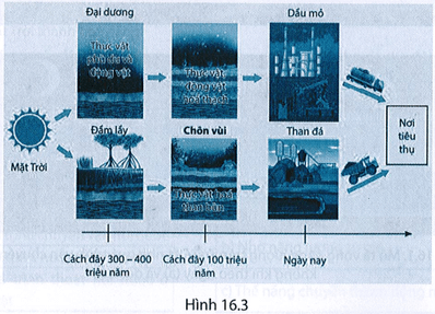 bai 16 7 trang 50 sbt khtn 9.png