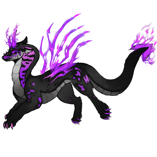 IMG 0291.png
