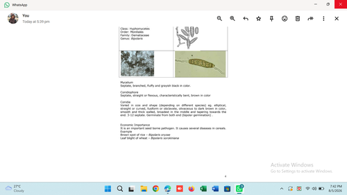 d8338a4f0f03.png