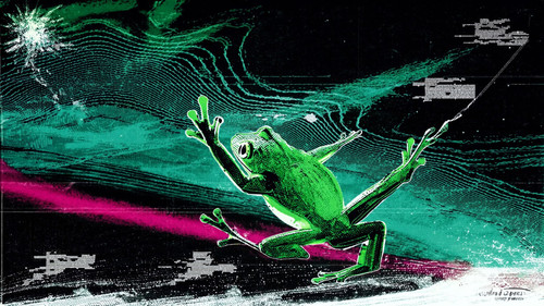 frog thumbnail jpg bc6e5faa ff6e 4921 a20c 1df0d7a8f642.jpg