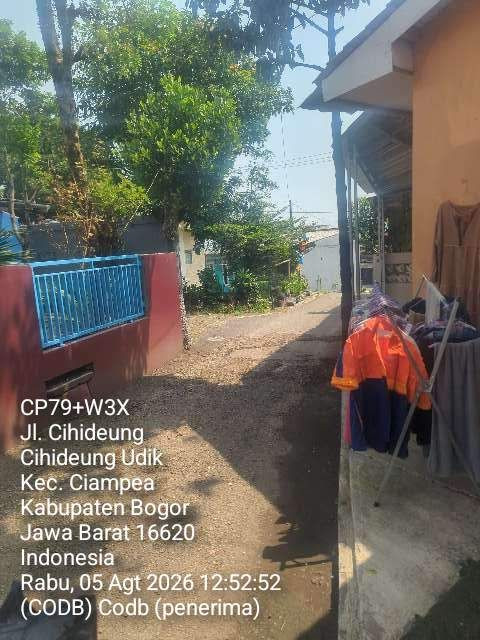 codb.jpg