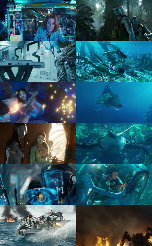 merged sheet.jpg