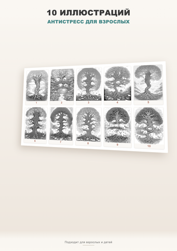 product 05 gallery2.png