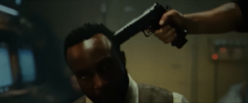 resized 11.png