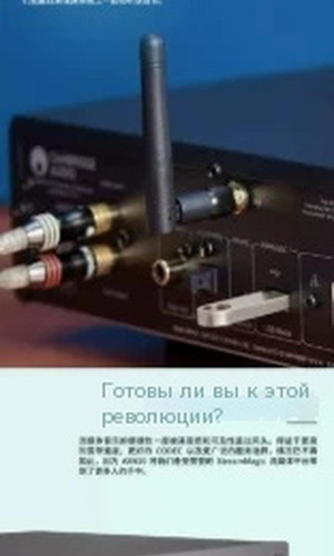 翻译后详情图0 9.jpg