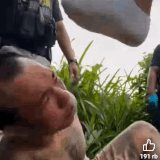merged (3) (1).gif