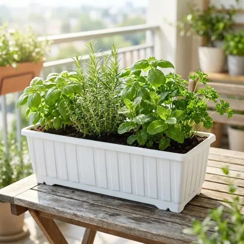 klasik orta balkon 04 lifestyle yesillik.webp