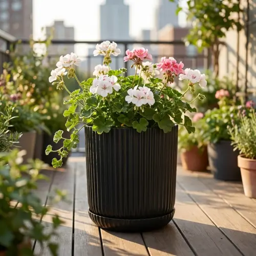 lotus tabakli 04 lifestyle balkon.webp