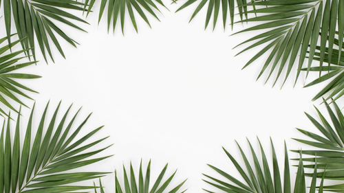 e49384713ad8.png