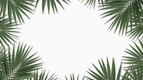 1b7e5cb591d7.png