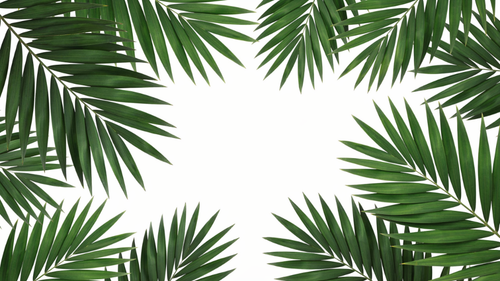 d020a5e15358.png