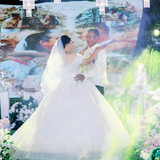 WGL03186