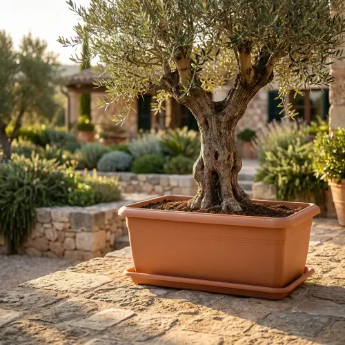villa bahce saksi 03 lifestyle zeytin.webp