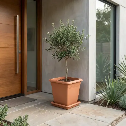 villa kare saksi 04 lifestyle giris.webp