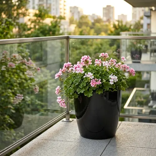 yakut saksi 04 lifestyle balkon.webp