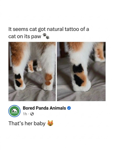 image 2026 08 05T230141.422.png