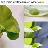 image 2026 08 05T230155.946.png