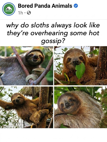 image 2026 08 05T230152.350.png