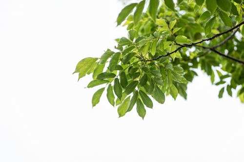 7bfa0a29f953.png