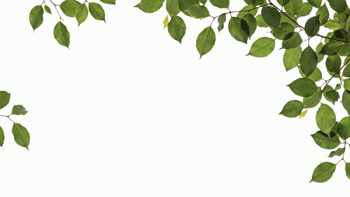 95a790540bf7.png