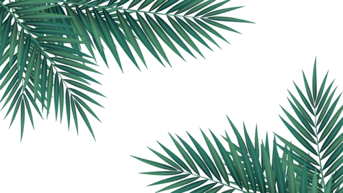 9924a71897f5.png