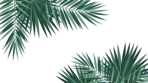 69a41373a951.png