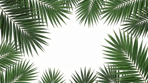 49b652ac599d.png