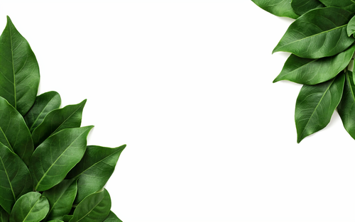 c80fbce2a680.png