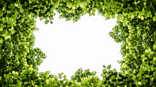 767a8fb1e72a.png